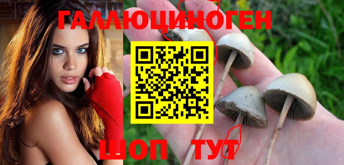 Ангарск  Псилоцибиновые грибы мухоморы  купить закладку  Вход с VPN  Галлюциногенные грибы ЛСД 